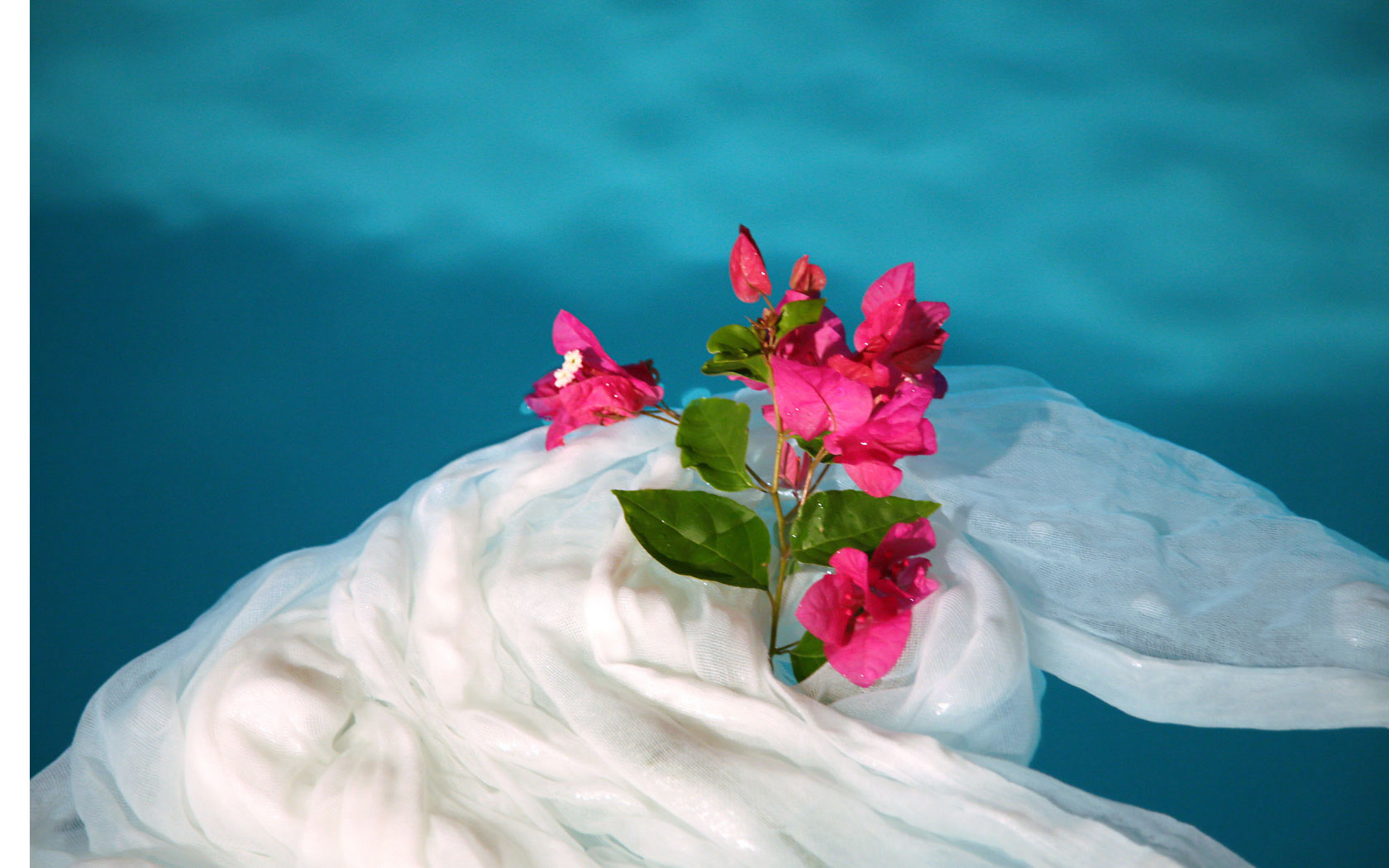 Sea paradise villas - Hotels in oia santorini- next to the sea oia